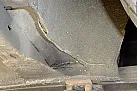 Thumbnail 22 - 1963 Jaguar MkII LHD restored