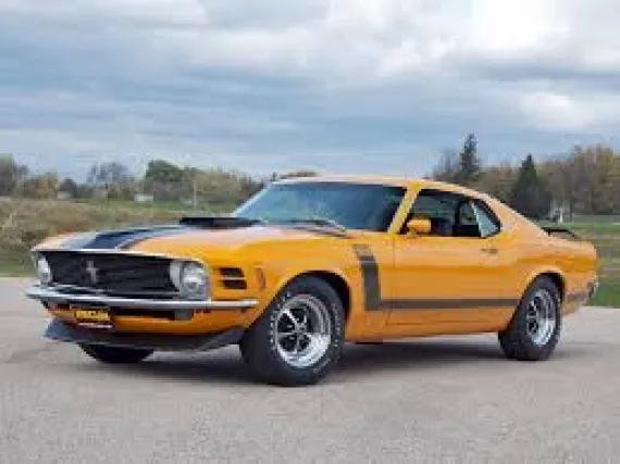 Vehicle Image 1 - 1970 Ford Mustang Boss 302