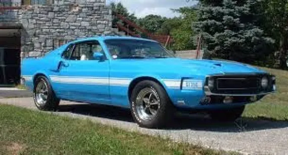 Vehicle Image 1 - 1969-1970 Shelby Mustang GT350 Fastback