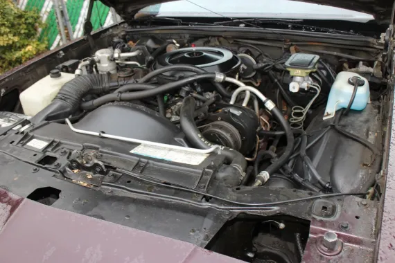 Vehicle Image 13 - 1988 Chevrolet Monte Carlo SS