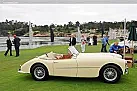 1954-1955 Swallow Doretti