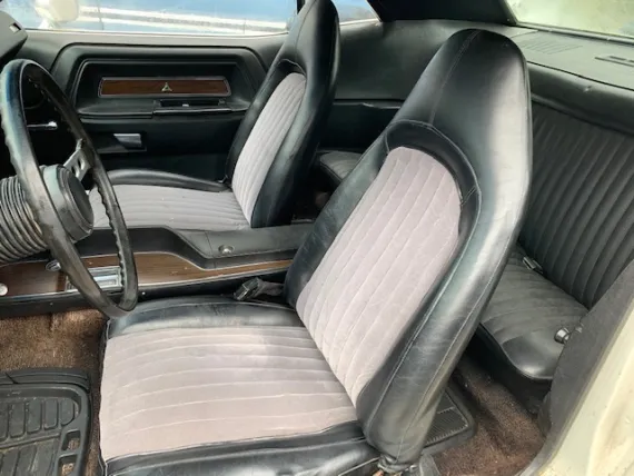 Vehicle Image 4 - 1974 Dodge Challenger