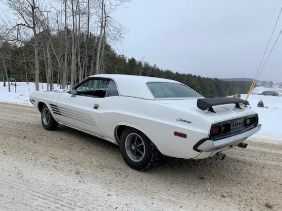 Vehicle Image 9 - 1974 Dodge Challenger
