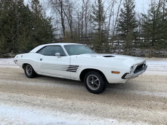 Vehicle Image 10 - 1974 Dodge Challenger