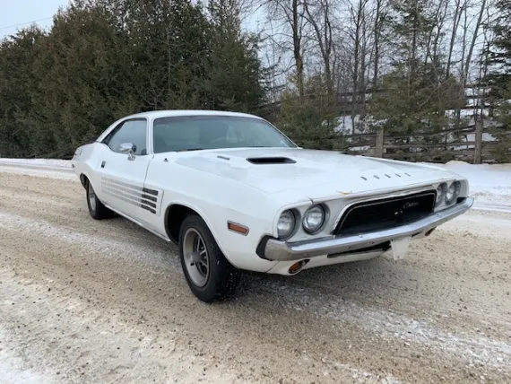 Vehicle Image 11 - 1974 Dodge Challenger