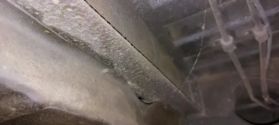 Vehicle Image 5 - 1988 Rolls-Royce Silver Spur