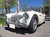 1955 Austin Healey 100/4