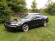2001 Ford Mustang " Bullit "