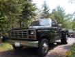 1982 Ford