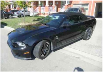 2011 Ford Shelby GT500 Handy for sale
